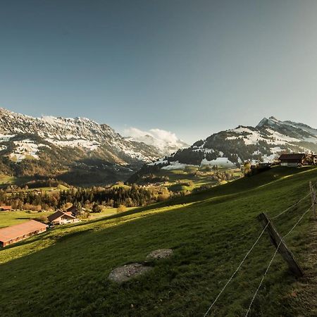 Chalet Bergwelt Frutigen Eksteriør bilde