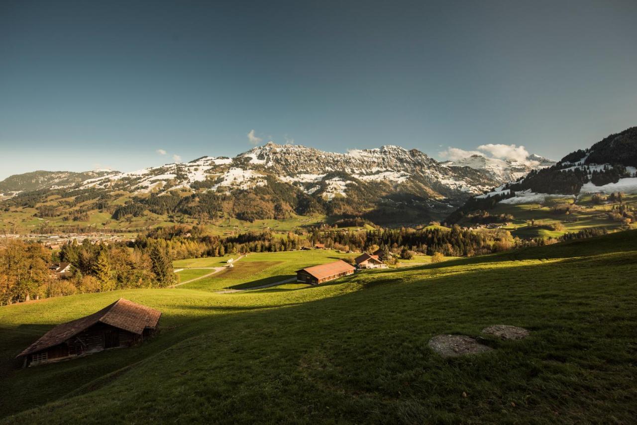 Chalet Bergwelt Frutigen Eksteriør bilde